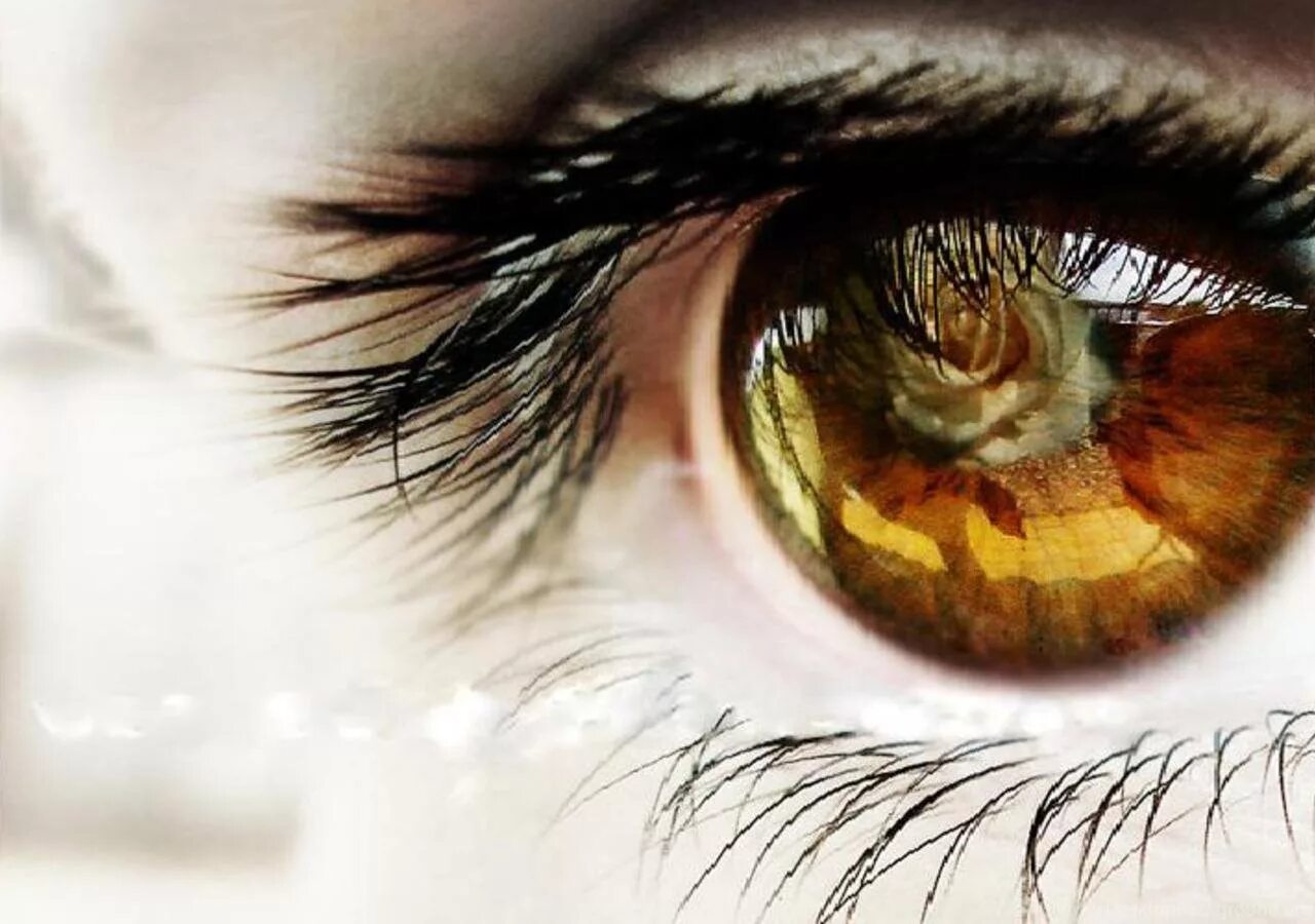 Зеркало души. А в глазах каждый день. Глаза в стороны. А в глазах каждый день. Глаз человека.