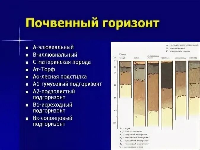 Название горизонтов