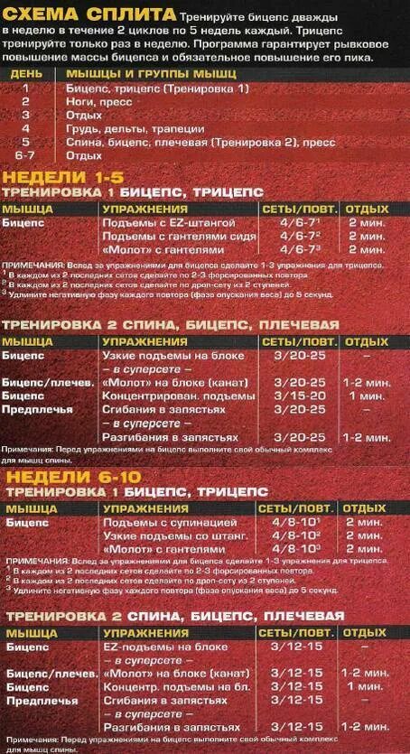 Программа для массы с гантелями. Программа тренировок. План тренировок на бицепс. Программа тренировок на бицепс. План тренировок со штангой.