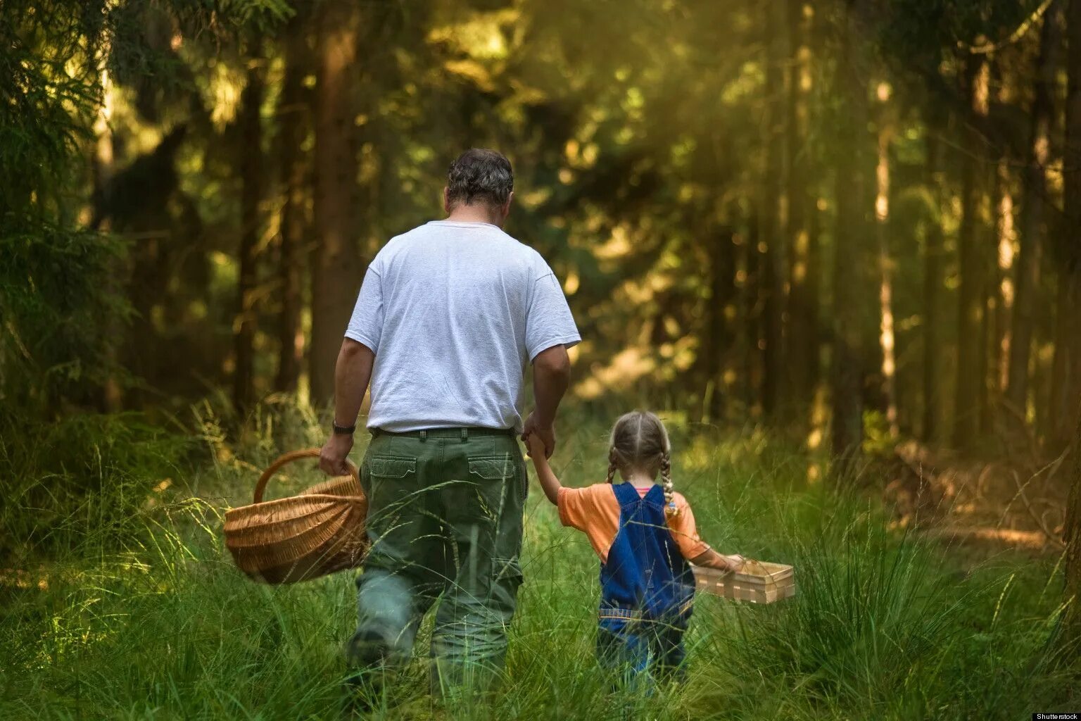 Люблю ходить в лес. Семья в лесу. дети на природе кв лесу. родители и дети в лесу. семья в лесу за грибами.