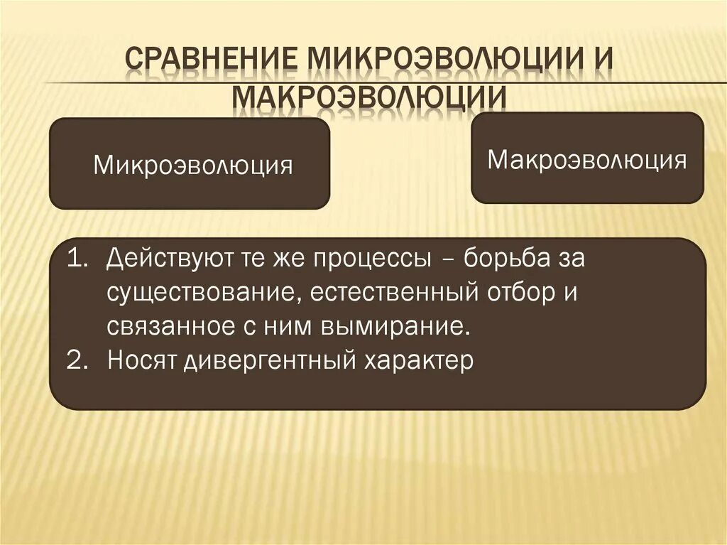 Материал для микроэволюции. Макро и микроэволюция таблица. Микроэволюция и Макроэволюция таблица. Материал для эволюционного процесса микроэволюции и макроэволюции. Сравнение микроэволюции и макроэволюции.