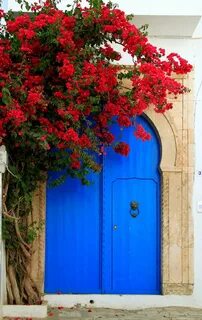 Said doors