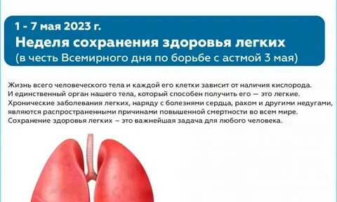 Здоровье легких статьи