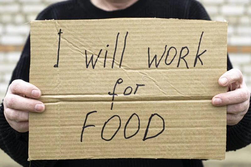 Will work for. Фото с картонной табличкой. картинка will work for food. unemployed person. парень с картонной табличкой.