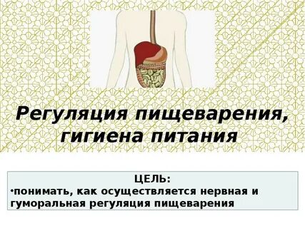 Регуляция питания гигиена питания