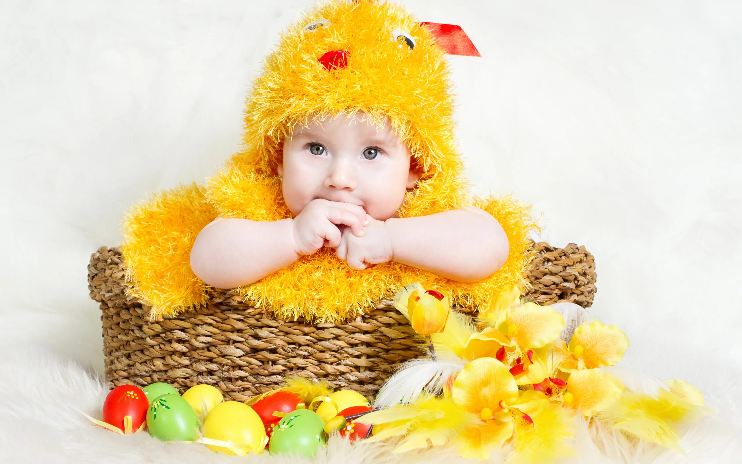 Когда вышел малыш в желтом. Фотосессия с цыплятами и детьми. Цыпленок для детей. Цыпленок девочка. Малыш желтый.