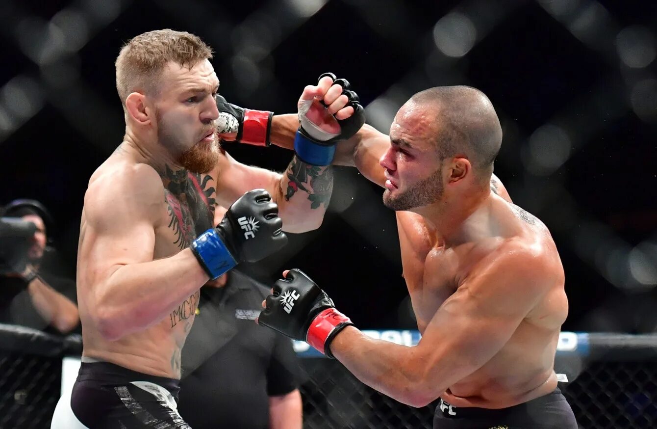 Макгрегор альварес бой. Конор макгрегор эдди альварес. Коннор эдди альварес. Коннор эдди альварес. Макгрегор альварес бой.