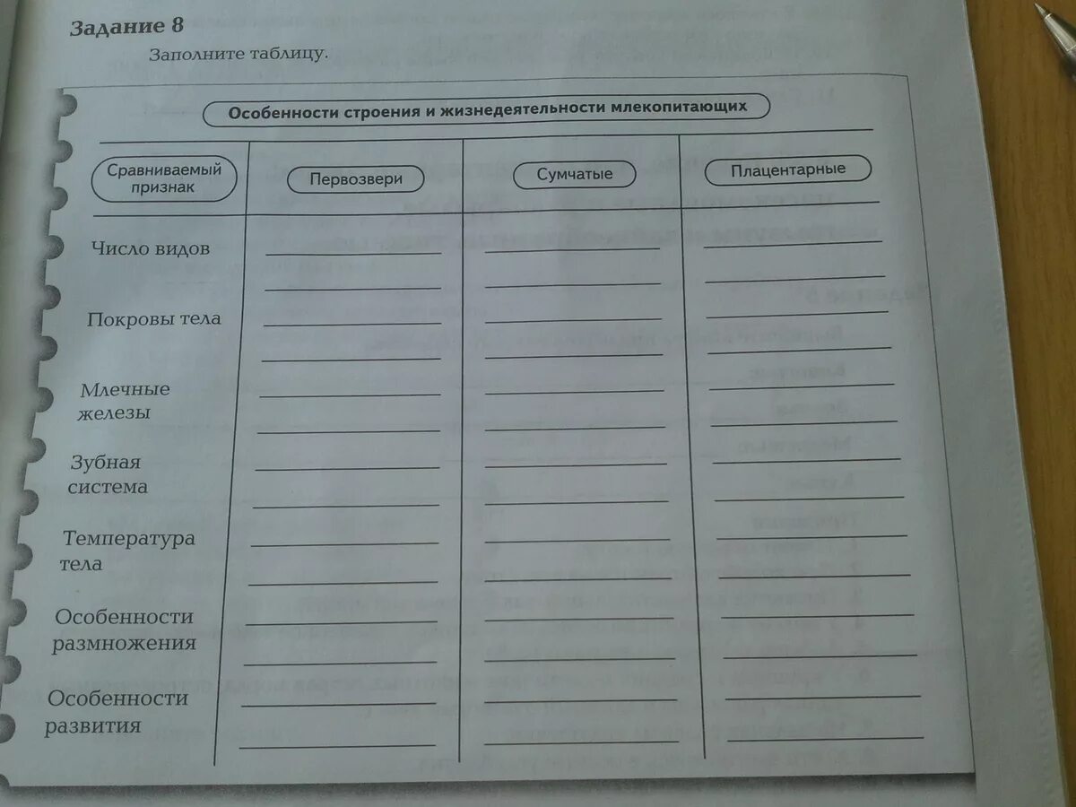 Используя текст параграфа заполните таблицу позвоночных животных. Строение млекопитающих таблица. Внутреннее строение млекопитающих таблица. Внутреннее строение млекопитающих 7 класс биология таблица. Внешнее и внутреннее строение млекопитающих таблица.
