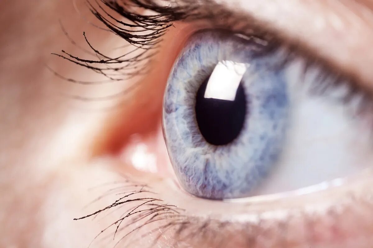 Глаз офтальмология. Красивый глаз офтальмология. Офтальмолог глаз.