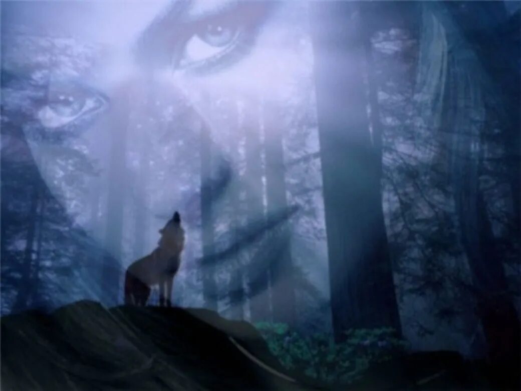 Одинокая волчица белый песня. Волчица и девушка. Одинокая волчица. Душа волчицы. Одинокая волчица и одинокий волк.