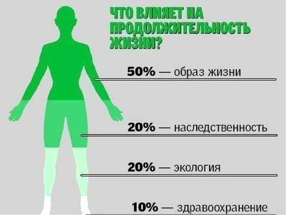 Можно ли утверждать что продолжительность жизни. Факторы влияющие на продолжительностььжизни. Факторы влияющие на Продолжительность жизни человека. Факторы влияющие на долголетие. Что влияет на Продолжительность жизни человека.