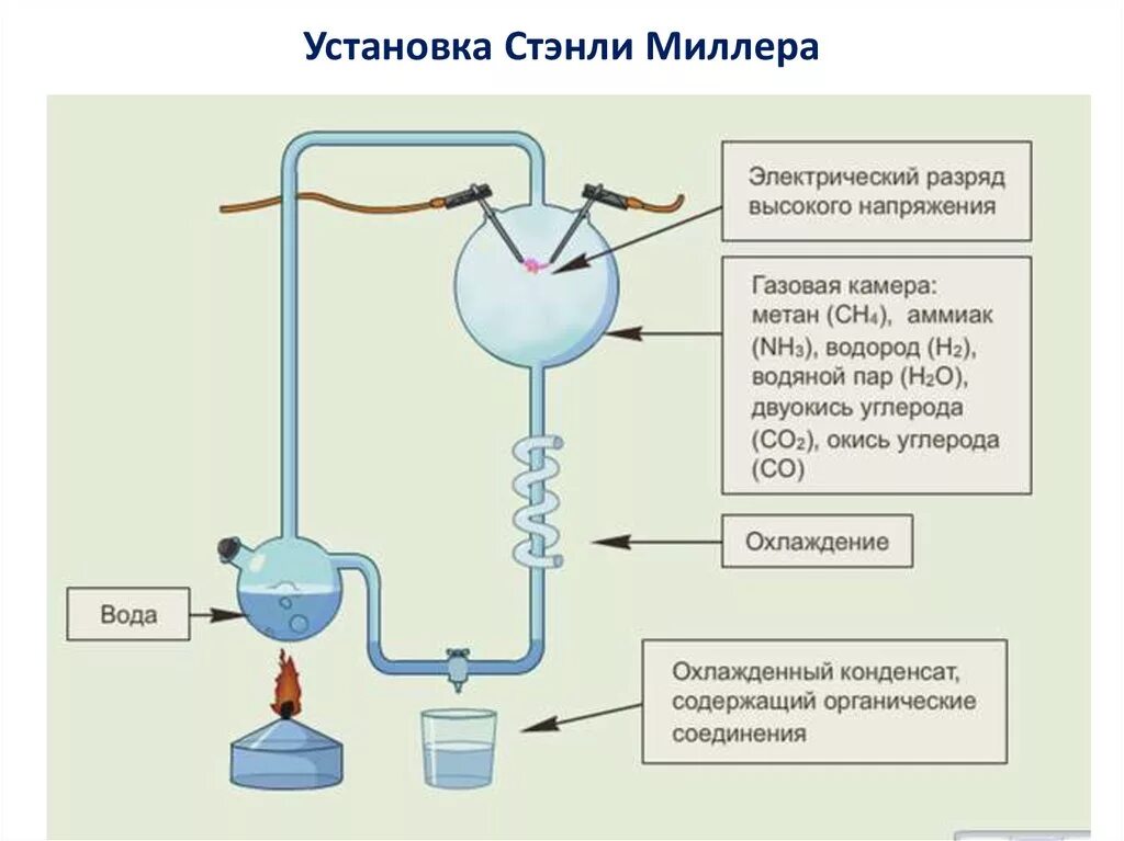 Опыт Стенли Миллера. Аппарат Миллера и Юри. Схема аппарата Миллера. Стэнли Ллойд Миллер эксперимент.