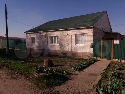 Авито елань волгоградская