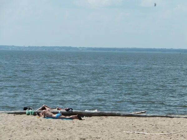 уровень обского водохранилища. обское водохранилище новосибирск. карта обского водохранилища новосибирской. уровень воды в обском водохранилище в новосибирске сегодня. обское водохранилище караканский бор.