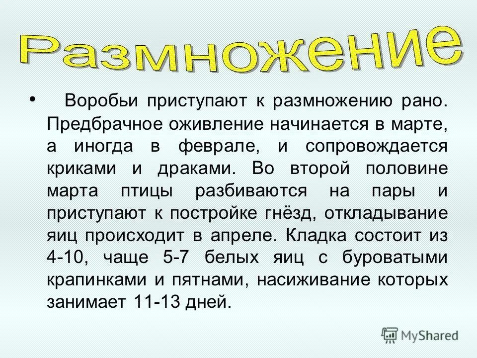 Какое физическое свойство позволяет воробьям не замерзнуть