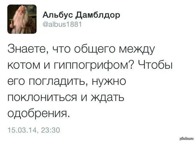Цитаты дамблдора. Цитаты альбуса дамблдора. умные фразы альбуса дамблдора. дамблдор любовь. цитата дамблдора про любовь.
