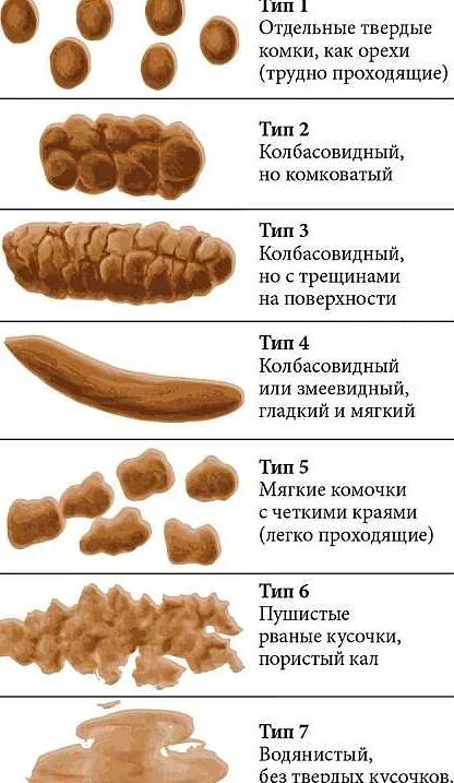 Почему какают черным