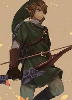 Z link