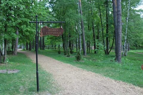 Выкса фото парка