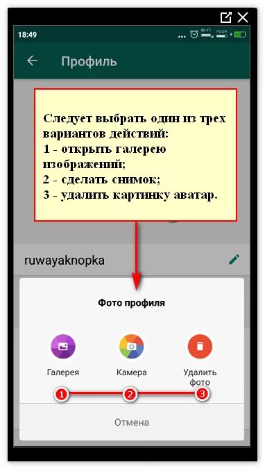 Как установить фото в ватсапе. Профиль ватсап. Как установить фото в вацапе. Как поставить фотографию на ватсап. Добавить профиль ватсап