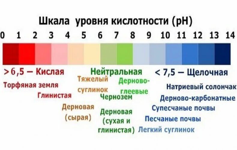 Цвета рн среды