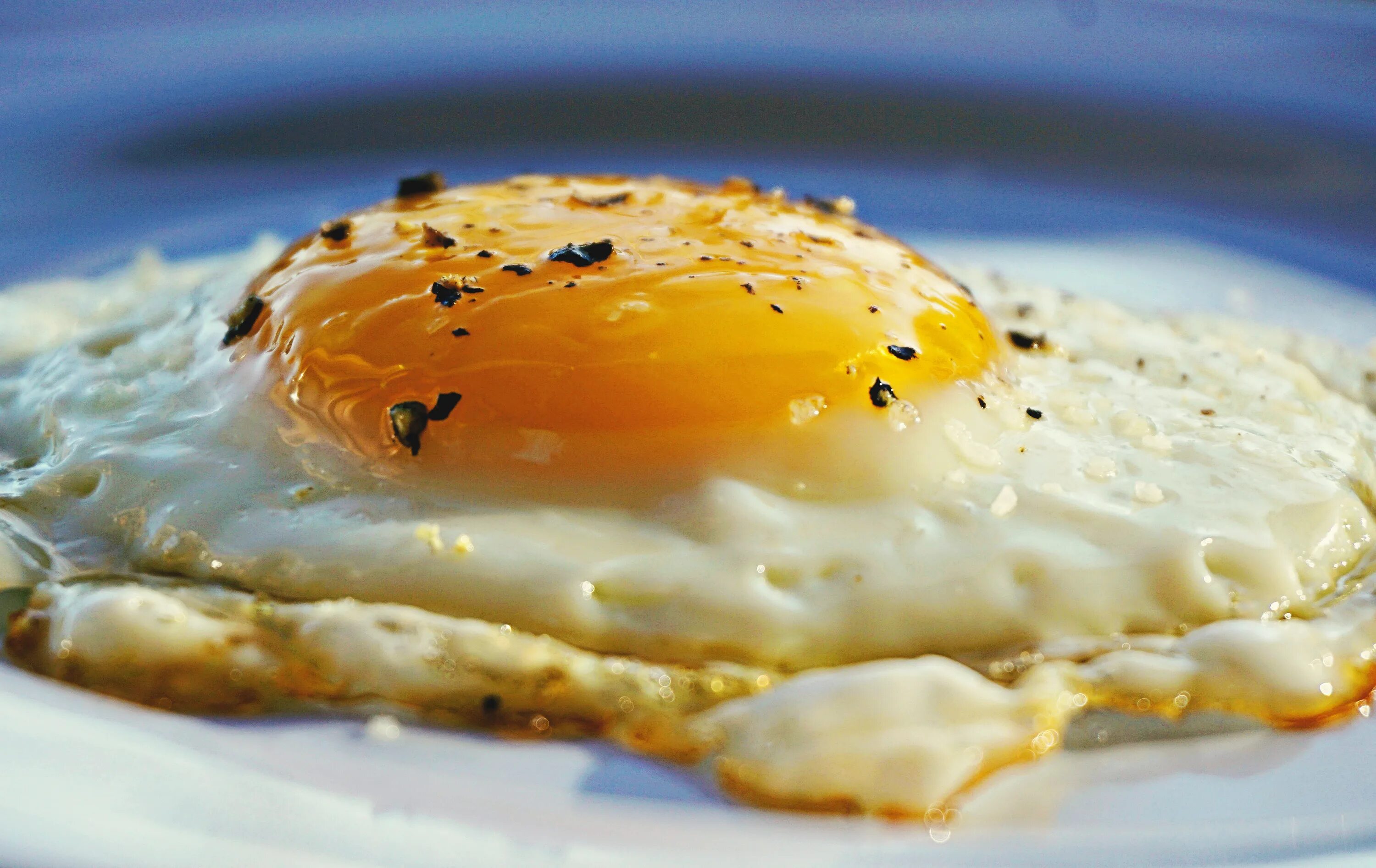 Eggs astd
