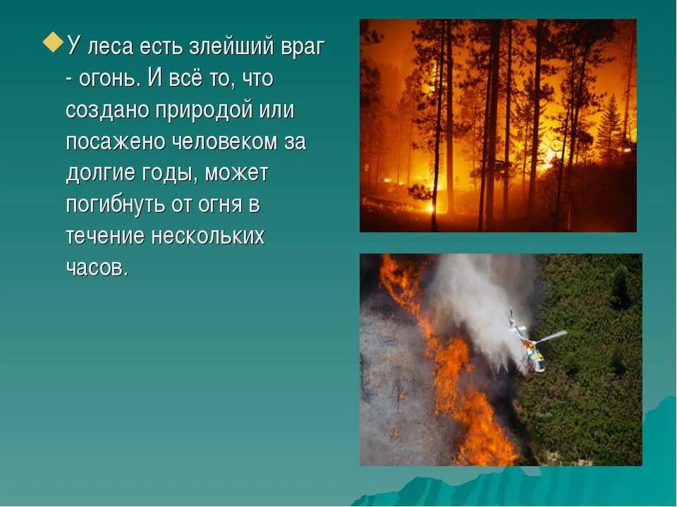 Сочинение на тему берегите лес от пожара. Сочинение на тему лесные пожары. Текс на тему берегите лес от пажара. Стихи про лесные пожары. Берегите леса от пожара.