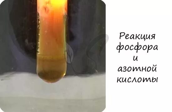 Фосфор hcl. Опыты с азотной кислотой. азотная кислота+ фосфор. взаимодействие фосфорной кислоты с азотной кислотой. фосфор и азотная кислота реакция.