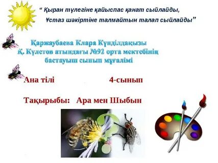 Әдемі шыбын