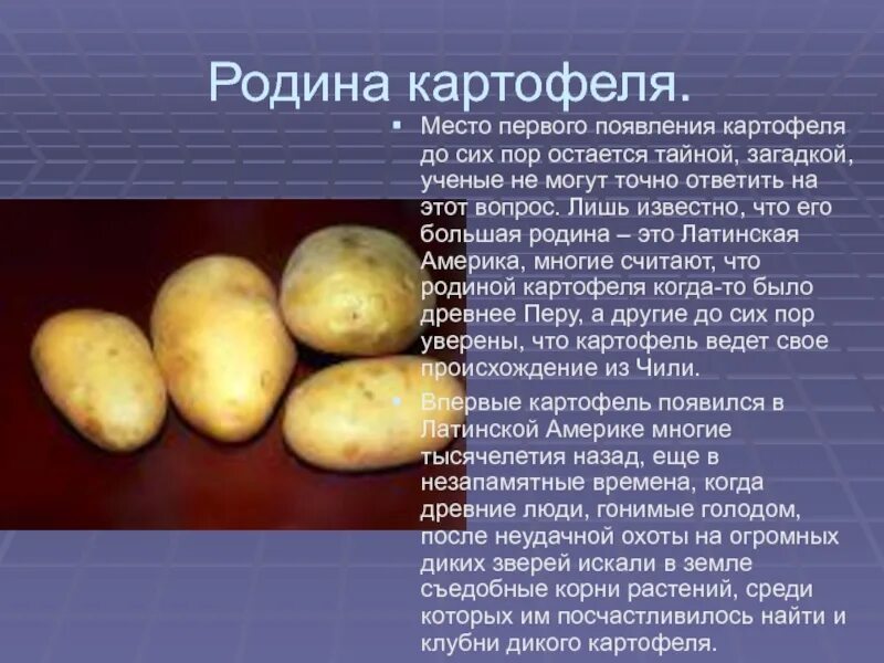 Появление картофеля в россии. Доклад о картофеле 3 класс окружающий мир. Картофель презентация. Картошка для презентации. Доклад о картошке.