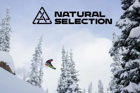 Selection tour