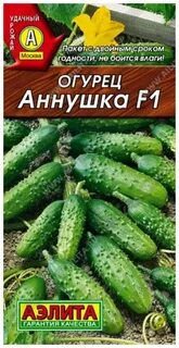 Огурцы сорт аннушка
