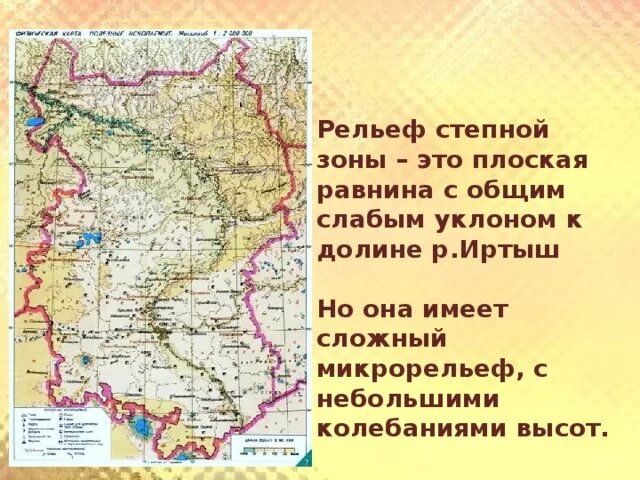 В какой природной зоне омская область. Рельеф Омской области. Рельеф Омской области карта. Равнины Омской области на карте. Природные зоны Омской области.