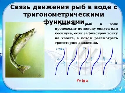 Способы передвижения рыб