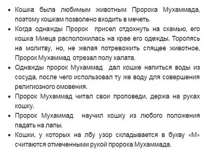 Кошка пророка