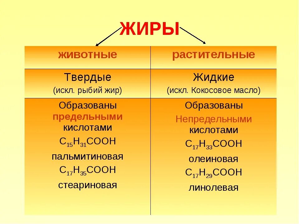 Жиры строение и виды. Жиры растительного и животного происхождения таблица. примеры животных жиров. жиры растительные и животные таблица. жиры животного происхождения примеры.