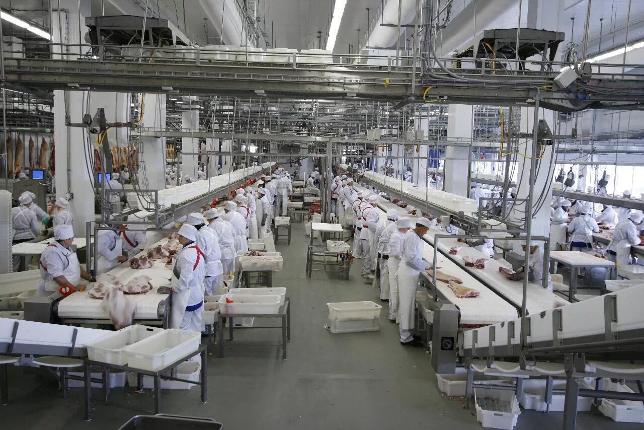 Фотки рогатой из цифрового. Козы на лугу. Мэнский лохтан черный. Нубийский козел рогатый. Коза рогатая.