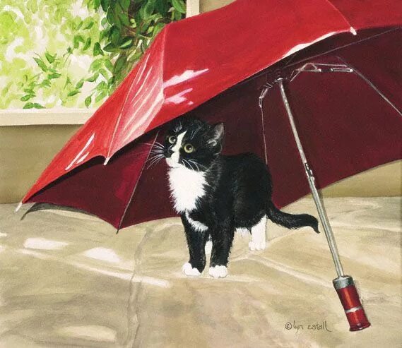 Котенок под зонтом. Котенок под зонтиком. Зонт с котом. Зонтик с котами. Котики зонтики
