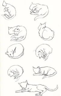 Как нарисовать лежащую кошку