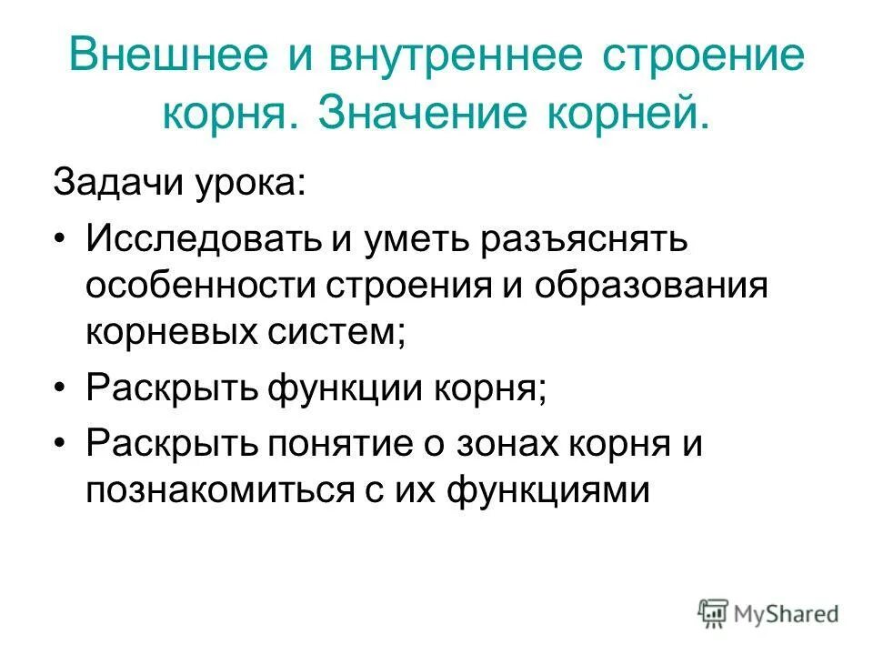 Функции значение корня. Внешнее и внутреннее строение корневища. значение корня. значение корней в природе. значение корней в природе 6 класс.