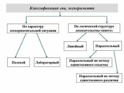 Исследователи социальных структур