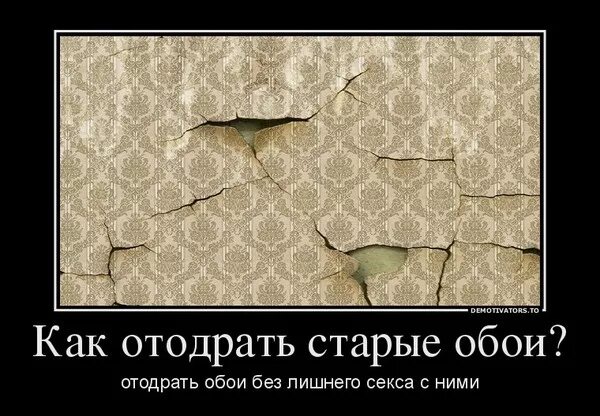 Как отодрать со. Ты похожа на старые обои. Похожа на старые обои прикол. Ты как старые обои. Ты похожа на старые обои прикол.