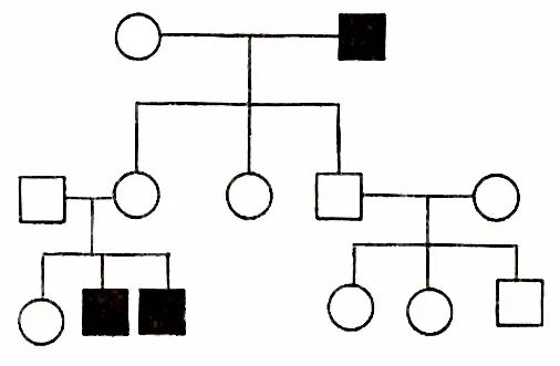 Родословная биология 11 класс. Родословная по генетике. Родословная кружочками и квадратиками. Генеалогическое исследование. Генеалогическое Древо квадрат и круг.