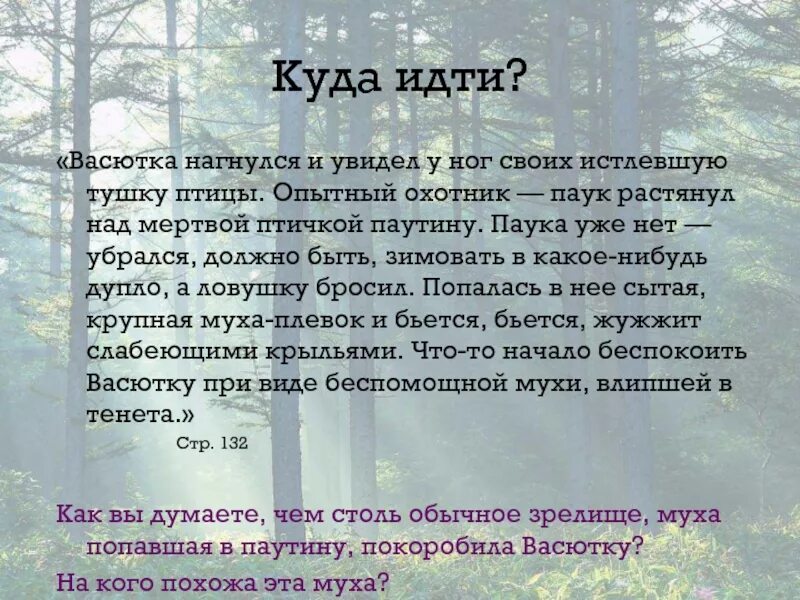 Васюткино озеро характеристика васютки с цитатами. Васютка. Образ Васютки. Какой был Васютка. Стилистика Васютки.