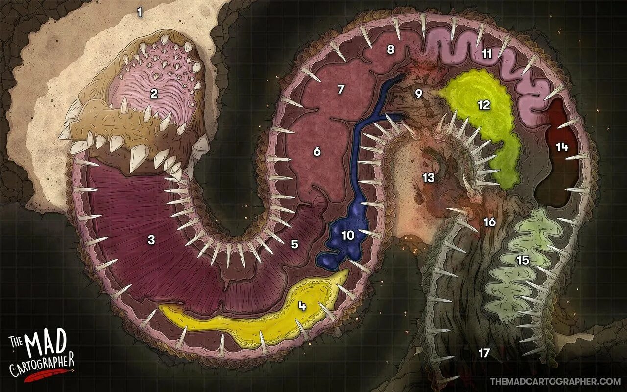 Cave wyrm. Cave wyrm