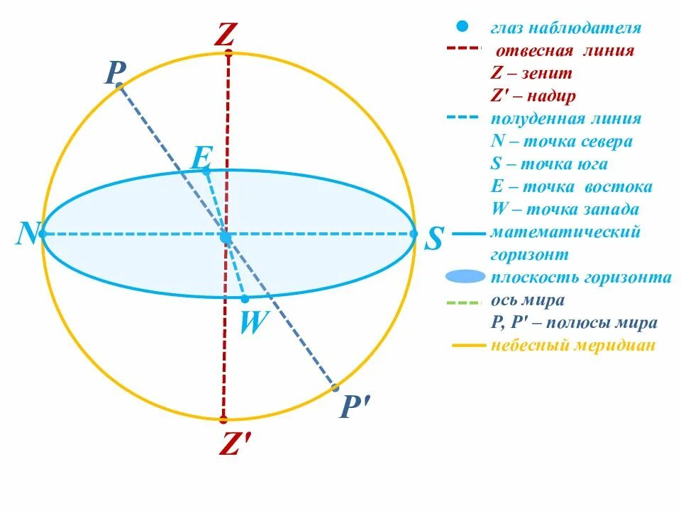 Отвесная линия на небесной сфере. Полуденная линия на небесной сфере. Небесная сфера основные точки и линии. Отвесная линия астрономия.