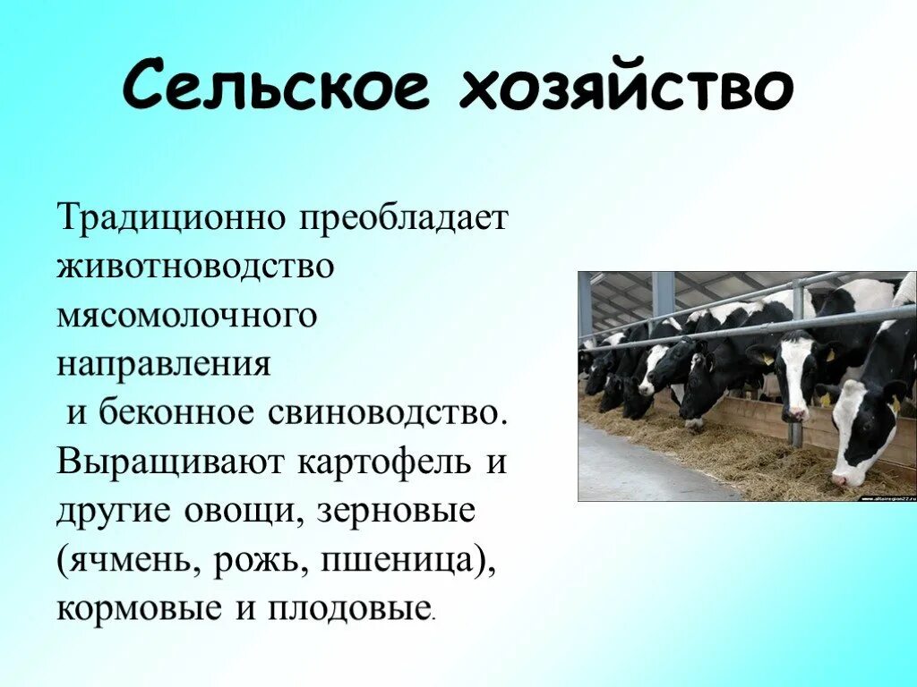 Укажите причины ослабления позиций животноводства на кубани. Презентация на тему сельское хозяйство. Сельское хозяйство для презентации. Сообщение о сельском хозяйстве. Проект сельское хозяйство.