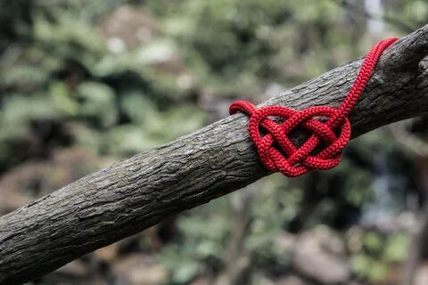 Desktop HD wallpaper: Wood, Tree, Ripe, Rope, Speletal, Heart, Love free do...