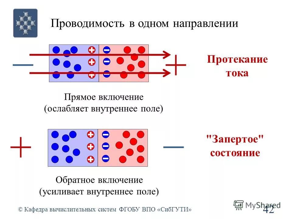 Скорость прямой реакции. Обратное состояние. Методы питания. Нарушение работы иммунной системы. Скорость прямой и обратной реакции.