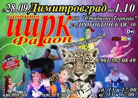 Афиша димитровград